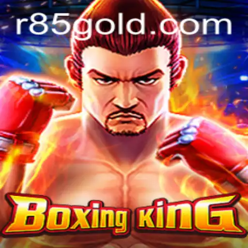 Discover the Thrilling World of BoxingKing with R85